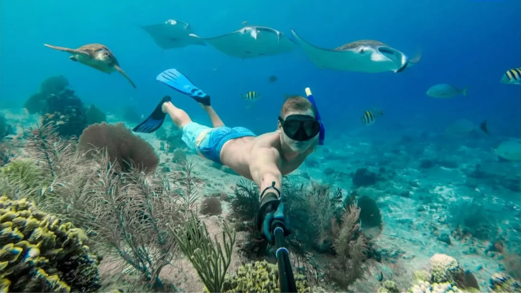 Unforgettable underwater adventure with Manta Rays on the best Snorkeling Packages during Snorkeling Nusa Penida